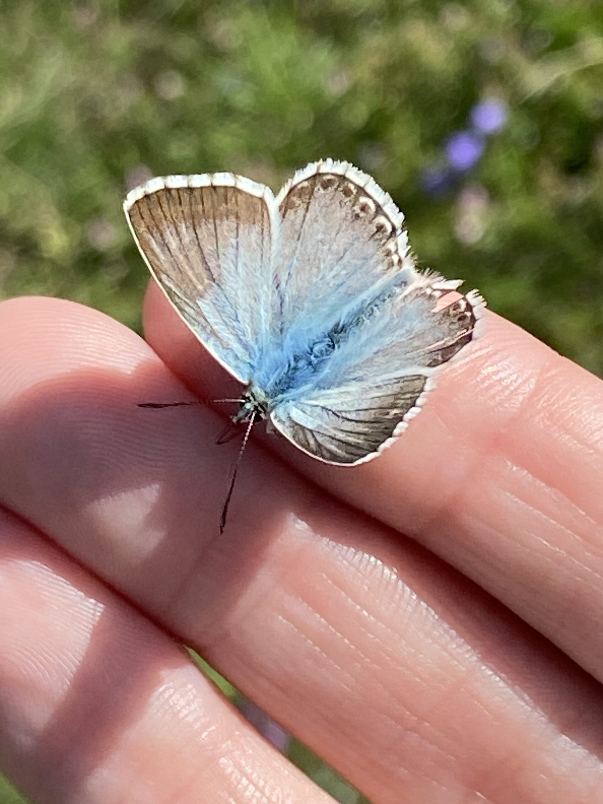 Was sind „Glimmer-Momente“ und wozu können sie für Hochsensible bedeutsam sein?
